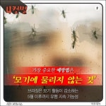 [4컷썰] 소두증 지카 바이러스 공포… 피해야 할 국가는?