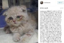 ‘동물농장’ 개번식 실태 충격...최희 “인간 탐욕으로 고통, 동물복지 강화해야”