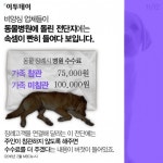 [카드뉴스 팡팡] 반려동물 장례업체, 이대로 괜찮은가요?
