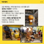 [카드뉴스 팡팡] “귀여움에 현혹되다” 강남 카카오프렌즈샵 방문기