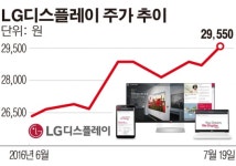 LG디스플레이, 주가 상승 어디까지?