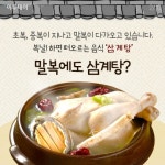 [카드뉴스 팡팡] 말복에는 삼계탕 대신 똠양꿍 어떠세요?