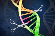 [BioS] 툴젠, 100억원 투자유치..유전자가위 R&D 본격화