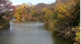 ‘새주인 찾아요’...양지-설악 파인리조트와 옥스필드 골프장