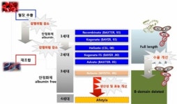 [BioS] SK케미칼 기술수출 혈우병약 글로벌시장 진출 가속도