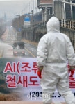 [포토]  한강 성동지대 AI 고병원성 확인