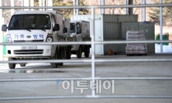 [포토]구제역 공포 확산 문 닫힌 가축경매시장