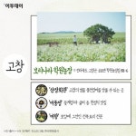 [카드뉴스 팡팡] 도깨비 촬영지 갔다가 맛집에 홀리다