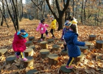 아이들에게 스마트폰 대신 숲 교육을…서울 ‘유아숲’ 400개까지 확대한다