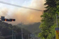 삼척ㆍ강릉에 산불…동해고속도로 일부 구간 전면 통제