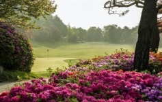 뉴서울골프장 전시간대 비회원 그린피 할인...오는 15일 전국 골프장 ‘골프의 날’특별 이벤트