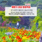 [카드뉴스 팡팡] “추석 연휴엔 꽃길만 걷자~”