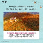 [카드뉴스 팡팡] 가을마다 똑같은 코스는 그만~ 색다르게 즐기는 ‘단풍 구경’