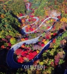단양 보발재, 그림같은 사진들 "눈호강 하세요"