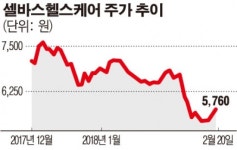 셀바스헬스케어, 작년 영업익 1.6억…흑자 전환