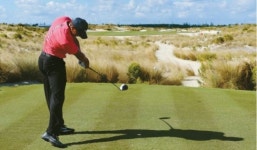 ‘골프지존’ 타이거 우즈, 대회를 살리는 ‘미다스의 손’...6월 PGA투어 출전