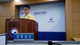 김포 돼지농장서 또 구제역 항원…“역학농가 68곳 더 있어”