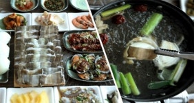 생방송 투데이 리얼 맛집 24시간의 비밀, 삼색 갯장어 샤부샤부 맛집 돌산해수타운횟집…위치는?