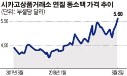 폭염·가뭄에 밀값 비상…밀가루 대란 오나