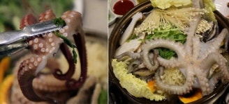 생방송 투데이 오늘방송맛집- #맛스타그램, 해신탕 맛집 풍년옥…위치는?