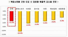한경연 “복합쇼핑몰 규제 시 입점 소상공인 매출 5% 하락”