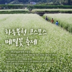 10월 가볼 만한 축제는?…한화 서울세계불꽃축제부터 코세페·안성바우덕이축제 등 볼거리 풍성