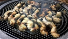 생방송 투데이 오늘방송맛집- 리얼 맛집 24시간의 비밀, 아산 무태장어 맛집 아산짚불장어…위치는?