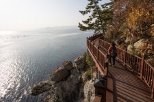 [올댓트립-돈(豚)투어②] 황금 돼지 찾고 로또 당첨…복돼지를 잡아라