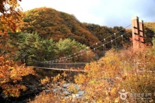 [대한민국 1호] 국내 최초로 연예인 이름 딴 ‘소지섭길’을 가다