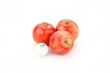 농촌진흥청 사과연구소, 국산 신품종으로 일본 사과 잡는다