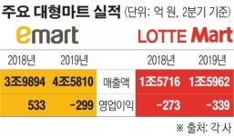 건물·땅 팔아요...‘적자 충격’ 대형마트, 자구책 마련에 총력