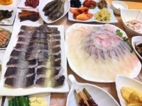 여수경도맛집 ‘사계절횟집’ 하모 세트...“샤브샤브와 활어회를 한 번에”