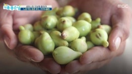 카카두플럼, 주방에서 즐기는 다양한 맛…방법도 간단해
