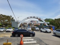 곰나루화훼유통 | [가봤다] 화훼농가, 코로나19 위기 넘기고 봄바람 불까…어버이날 앞둔 '꽃시장' 풍경은?