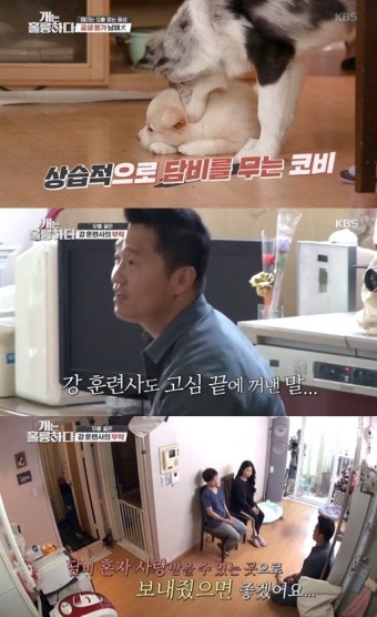 ‘개훌륭’ 보더콜리 보호자 맹비난…제작진 “비난보단 응원해달라”