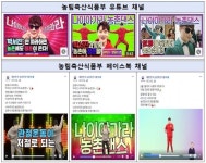 농식품부 유튜브 나이야가라 건강댄스 아·태 스티비어워즈 은상 수상