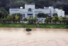 [포토] 대전 홍수, 집 앞이 물바다…정림동 아파트 주차장 차량 모조리 침수