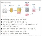 (주)보나미 대한적십자사 혈장분획센터 | 식약처, ‘녹십자 코로나19 혈장분획치료제’ 임상 2상 승인