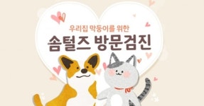 집으로 오는 동물병원 ‘솜털즈’, 서울 전역으로 반려동물 방문검진 서비스 오픈