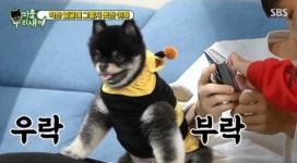 이태성 강아지 카오, 여배우와 이미 한차례 호흡… 조병규도 본 ‘개관상’