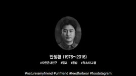 [이슈크래커] SSG도 돌고래유괴단 손잡았다...캐논 성공 계보 이어갈까
