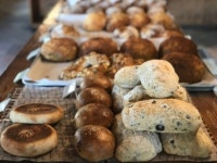 생방송 투데이 오늘방송맛집 - 빵플레이스, 있다! 없다? 코스로 즐기는 커피 & 빵 그○○○○○…대박 비결은?
