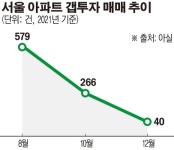 대출 규제 강화에 서울 아파트 갭투자 급감