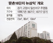 1기 신도시 리모델링 잰걸음…일산 첫 조합 설립 눈앞