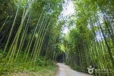 명절 혼자 보낸다면?…‘혼추족’ 위한 추천 여행지 4選