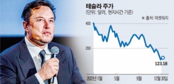 머스크, 역사상 처음으로 2000억 달러 날려…테슬라 주가, 1년간 65% 폭락