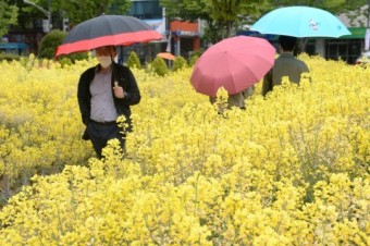 [내일날씨] 토요일 전국 곳곳 비...오후부터 황사 유의