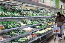 [포토] 2월 물가, 3%대 재진입…신선채소 12.3% 급등