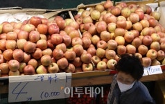 [포토] 사과 도매가격, 10Kg 사상 첫 9만원 돌파