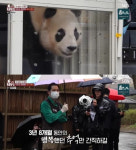 푸바오·강철원 사육사의 마지막 이야기…할부지 마음 몰랐으면
